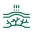درمان واریـــــس با لیزر
